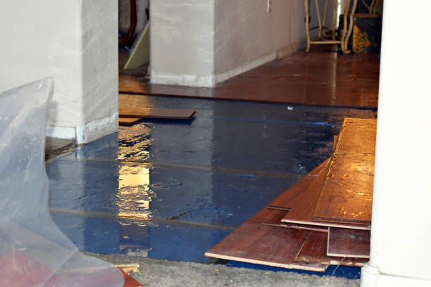 Professional Basement Flood Cleanup technician working in Columbia, NJ